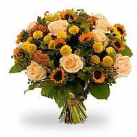 זריחה קייצית זריחה קייצית