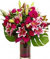 סטאר ריחני סטאר ריחני