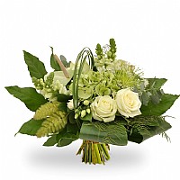 ����� ����