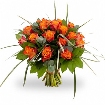 ���� �����