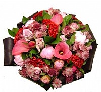 ��� ����