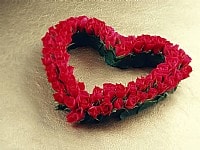 ���� ����