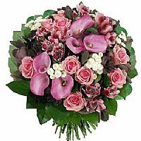 ��� ����