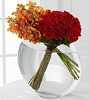 ����� ����