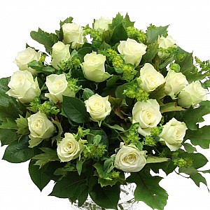 ���� ����