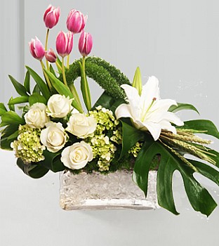 ���� �����