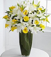 ���� �����