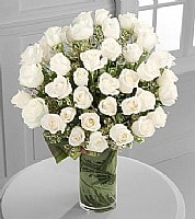 ������� ����