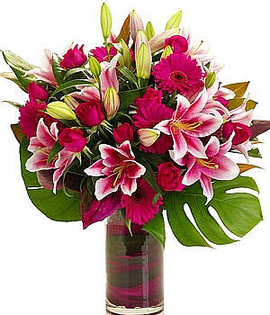 ���� �����