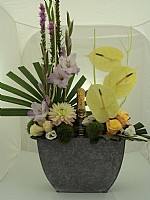 ����� �������