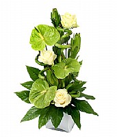 �������� �����