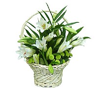 ������ �� �������