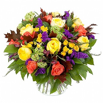 �� ������