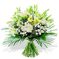 ������ ����