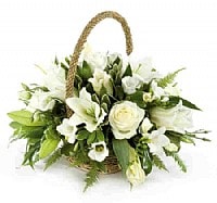 ����� ���