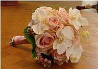 �� ��� "����� ����"