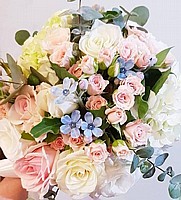 �� ��� "����"