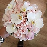 "������"