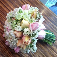 ��� �����