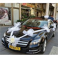 ����� ��� "�������"