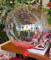 ���� ���� ���� �� ����� 