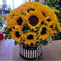 ����� ������