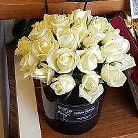 ����� ����� ����� ������ ������ �����