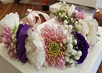 �� ���� ���� ����